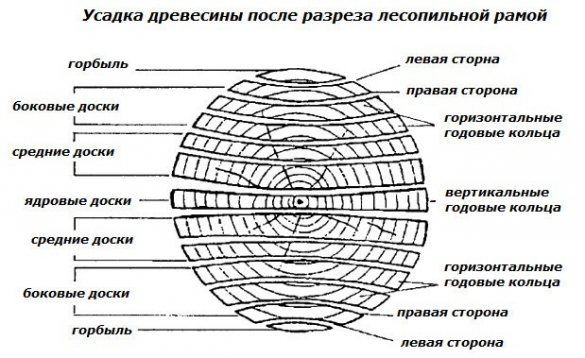 Между древесными стволами обросшими в течение десятилетий седым мхом синтаксический разбор схема