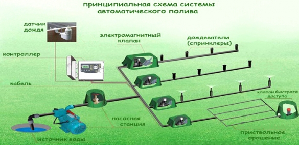 Автополив своими руками для газона схема