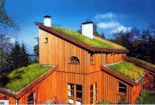Трава на крыше дома технология