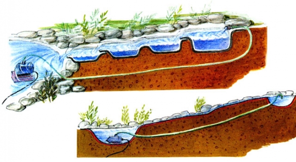 Доклад: Биоплато. Роль высших водных растений в улучшении качества воды