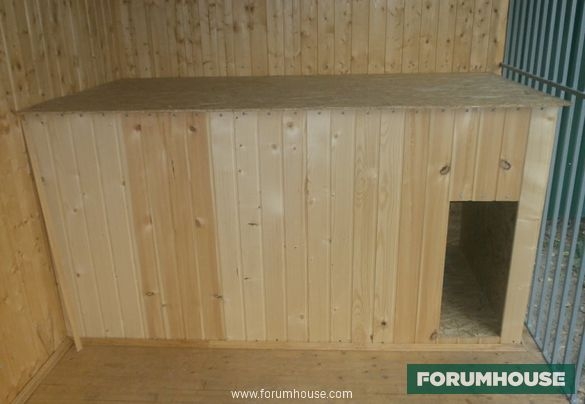 Как построить теплую будку для собаки